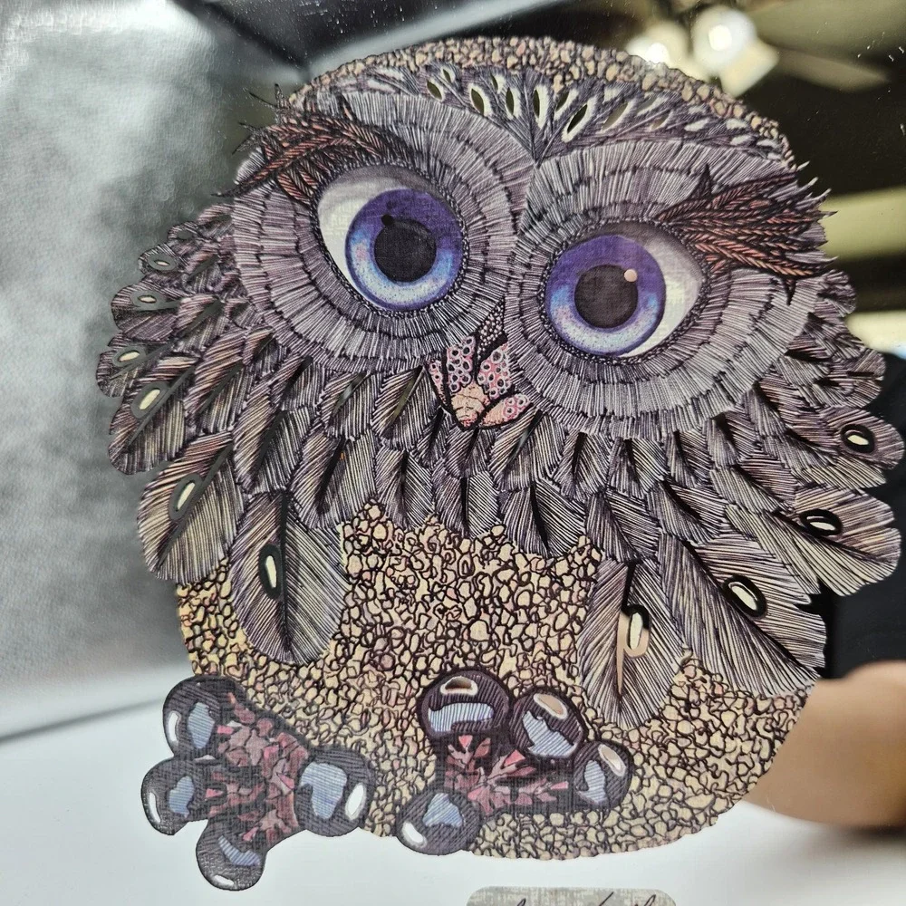 Vintage 1970's Framed Owl Mirror Glenn Heath Big Blue Eyes Long Eyelashes 10x12